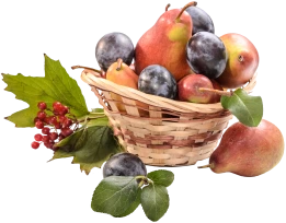 hortifruti